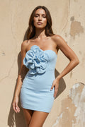 Strapless 3D Floral Mini Dress in Sky Blue