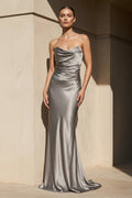 Strapless Pleated Maxi Dress in Silver